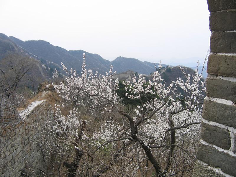 IMG_3244.JPG