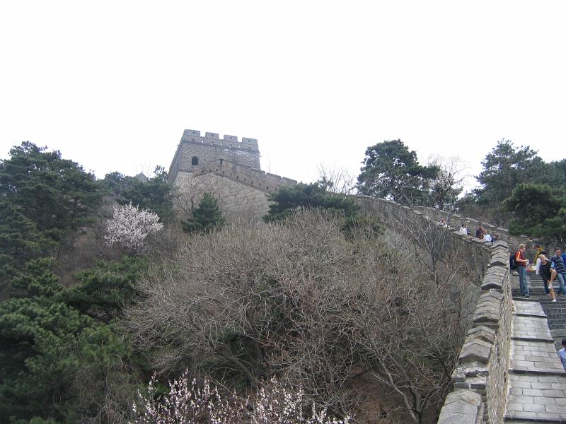 IMG_3246.JPG